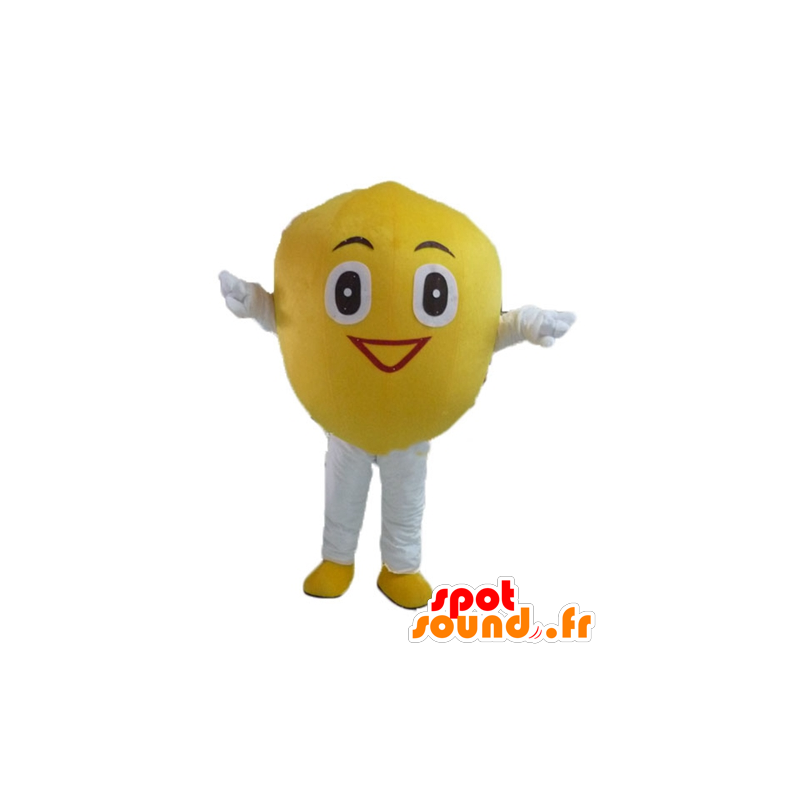 Citron maskot, kæmpe og smilende - Spotsound maskot kostume