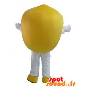Sitron maskot, gigantiske og smilende - MASFR23850 - frukt Mascot