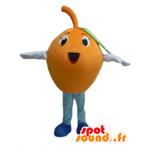 Mascotte d'orange géante, ronde et rigolote - MASFR23853 - Mascotte de fruits