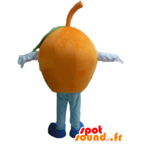 Mascot gigantiske oransje, runde og morsom - MASFR23853 - frukt Mascot