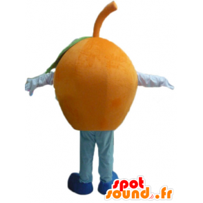 Mascot jättiläinen oranssi, pyöreä ja hauska - MASFR23853 - hedelmä Mascot