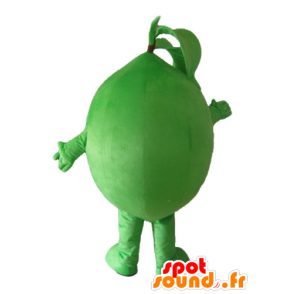 Lime mascotte, erg grappig en lachende - MASFR23860 - fruit Mascot