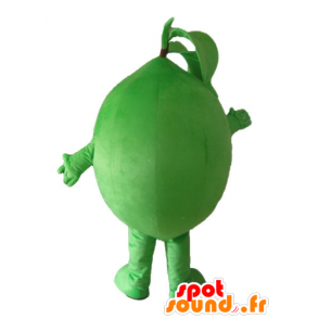 Mascotte de citron vert, très drôle et souriant - MASFR23860 - Mascotte de fruits