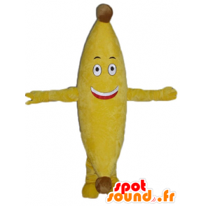 Mascote gigante banana amarela e sorrindo - MASFR23863 - frutas Mascot