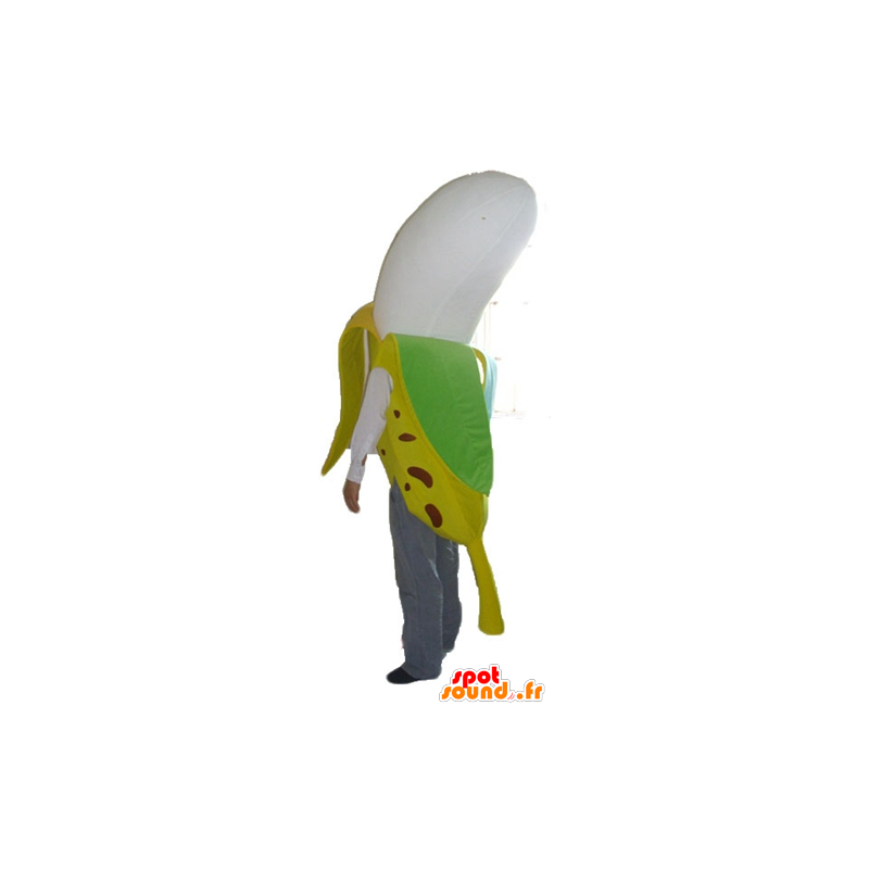 Banana gialla mascotte, marrone, verde e bianco - MASFR23864 - Mascotte di frutta