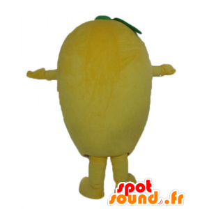 And funny giant lemon mascot - MASFR23867 - Fruit mascot