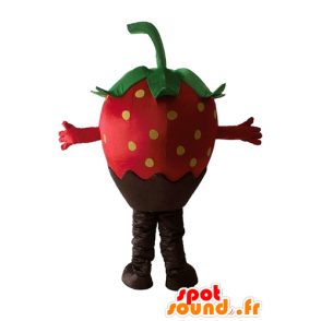 Mascotte de fraise au chocolat, très belle et appétissante - MASFR23870 - Mascotte de fruits
