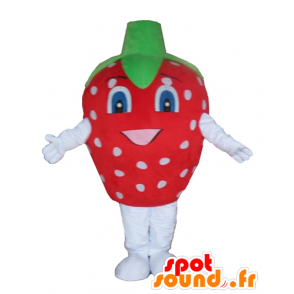 Maskot jahoda červené, bílé a zelené, obří - MASFR23871 - fruit Maskot