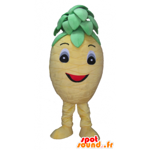 Mascotte d'ananas jaune et vert, mignon et souriant - MASFR23873 - Mascotte de fruits