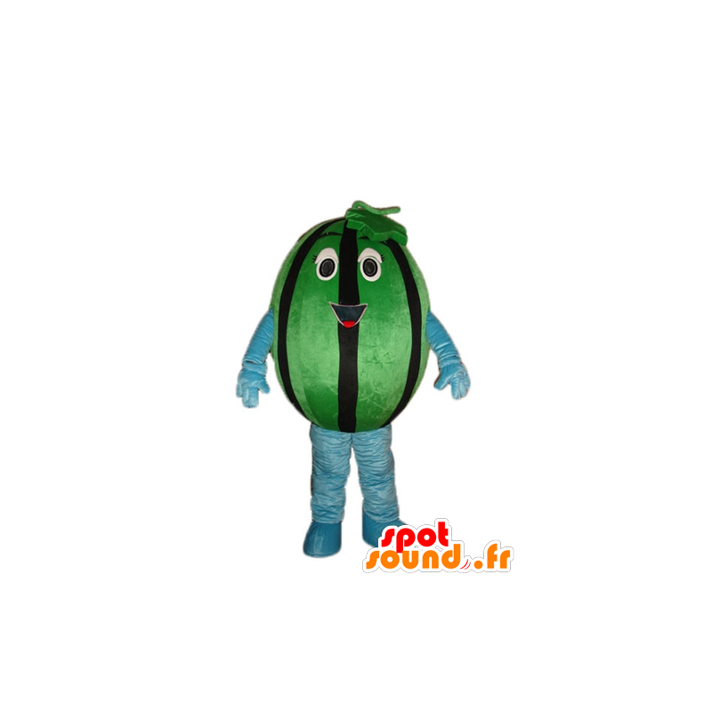 Groene watermeloen mascotte en gigantische zwarte - MASFR23877 - fruit Mascot