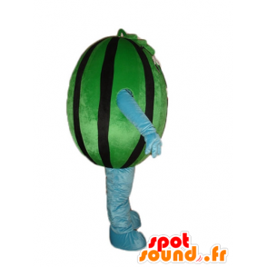 Zelený meloun maskot a obří černá - MASFR23877 - fruit Maskot