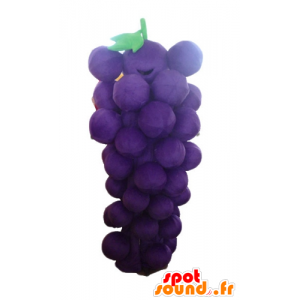 Cluster mascotte reus druif, violet en groen - MASFR23879 - fruit Mascot