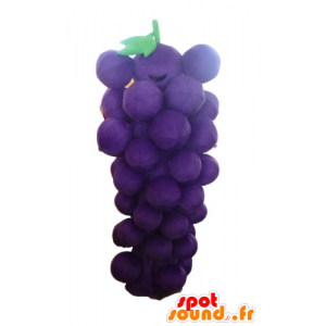 Mascotte de grappe de raisin géante, violette et verte - MASFR23879 - Mascotte de fruits