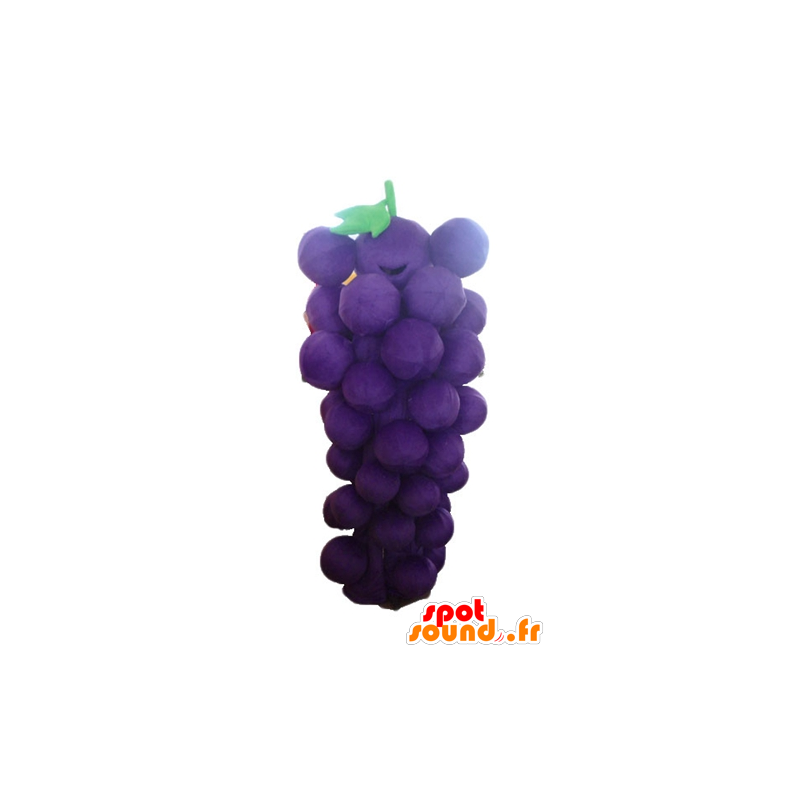 Mascotte de grappe de raisin géante, violette et verte - MASFR23879 - Mascotte de fruits