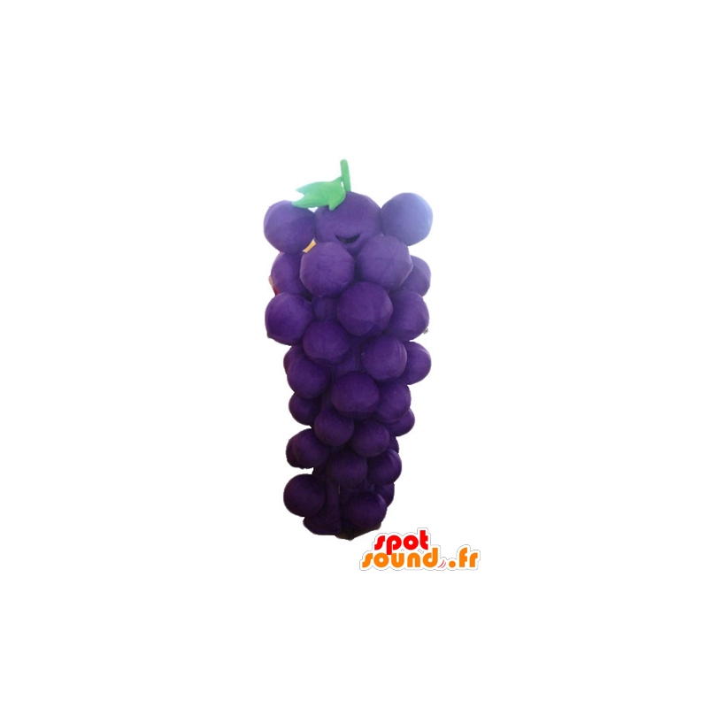 紫と緑のブドウのマスコット巨大な束-MASFR23879-フルーツマスコット