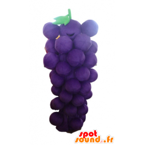 Mascota Cluster gigante de uva, violeta y verde - MASFR23879 - Mascota de la fruta