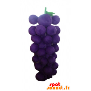 Mascotte grappolo gigante uva, viola e verde - MASFR23879 - Mascotte di frutta