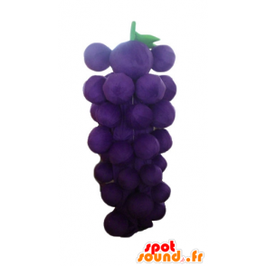 Cluster mascotte reus druif, violet en groen - MASFR23879 - fruit Mascot