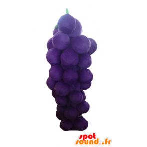 Mascotte de grappe de raisin géante, violette et verte - MASFR23879 - Mascotte de fruits