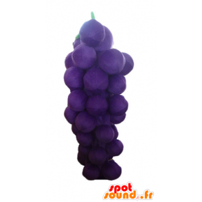 Mascotte grappolo gigante uva, viola e verde - MASFR23879 - Mascotte di frutta