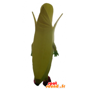 Giant banana gialla mascotte - MASFR23881 - Mascotte di frutta