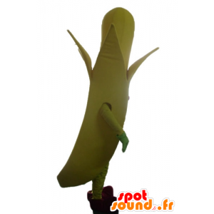 Giant banana gialla mascotte - MASFR23881 - Mascotte di frutta