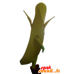 Mascot Giant gele banaan - MASFR23881 - fruit Mascot