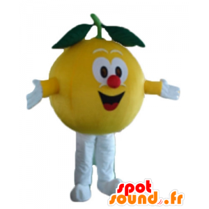 Mascotte de citron jaune, tout rond et mignon - MASFR23883 - Mascotte de fruits