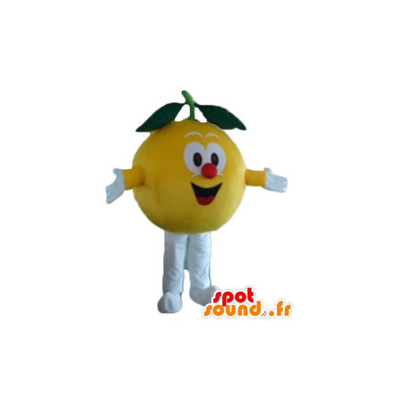 Citron maskot, kolem dokola a roztomilý - MASFR23883 - fruit Maskot