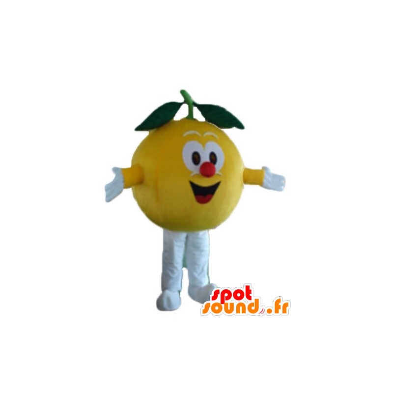 Lemon mascot, all round and cute - MASFR23883 - Fruit mascot