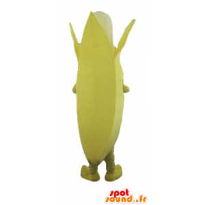κίτρινο και λευκό μασκότ μπανάνα, γίγαντας - MASFR23885 - φρούτων μασκότ
