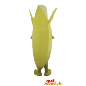 Giallo e bianco di banana mascotte, gigante - MASFR23885 - Mascotte di frutta