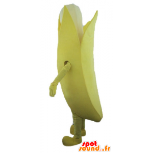 Gelbe und weiße Banane Maskottchen, Riesen - MASFR23885 - Obst-Maskottchen