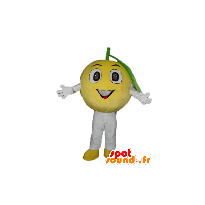 Citron maskot, kolem dokola a roztomilý - MASFR23886 - fruit Maskot