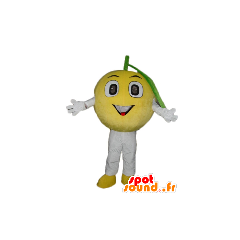 Mascotte de citron jaune, tout rond et mignon - MASFR23886 - Mascotte de fruits