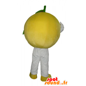 Citron maskot, kolem dokola a roztomilý - MASFR23886 - fruit Maskot