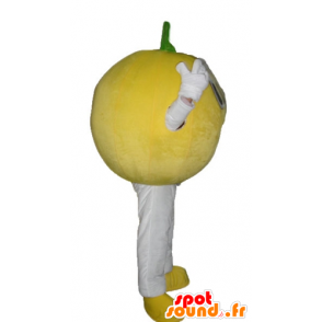 Lemon-Maskottchen, rundum und niedlich - MASFR23886 - Obst-Maskottchen