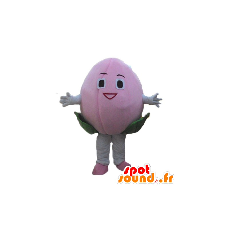 Mascot pink fruit, flower, giant litchi - MASFR23887 - Mascots for fruit and vegetables