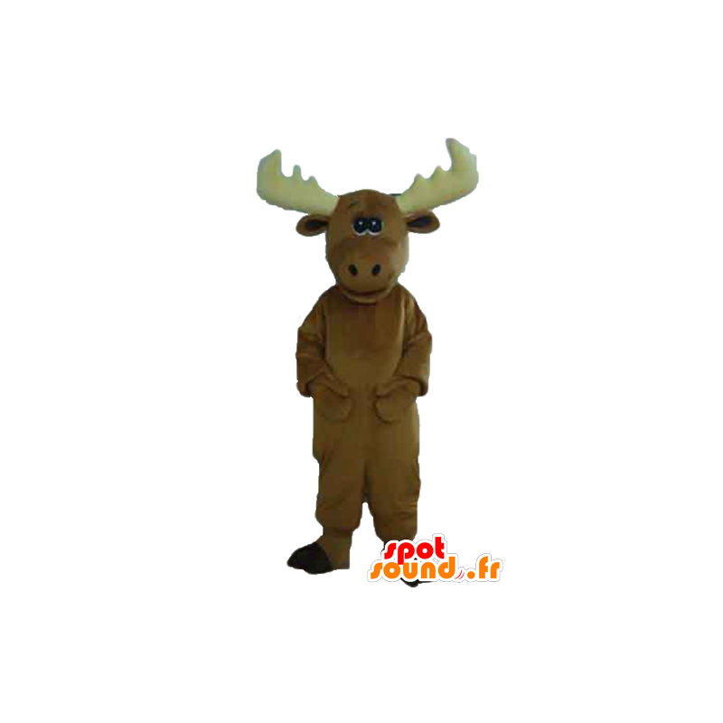 Moose maskot, hnědý karibu, velmi roztomilé a úžasné - MASFR23914 - lesní zvířata Moose maskot, hnědý karibu, velmi roztomilé a úžasné - MASFR23914 - lesní zvířata