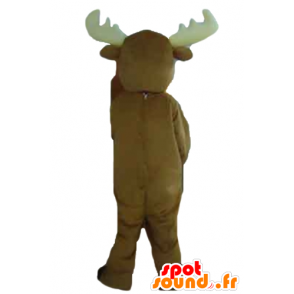 Moose mascot, brown caribou, very cute and impressive - MASFR23914 - Animals of the forest