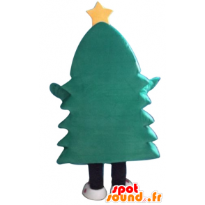 Natal verde mascote árvore, com uma estrela amarela - MASFR23915 - Mascotes Natal