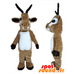 Goat mascot of goat, brown and white reindeer - MASFR23938 - Goats and goat mascots