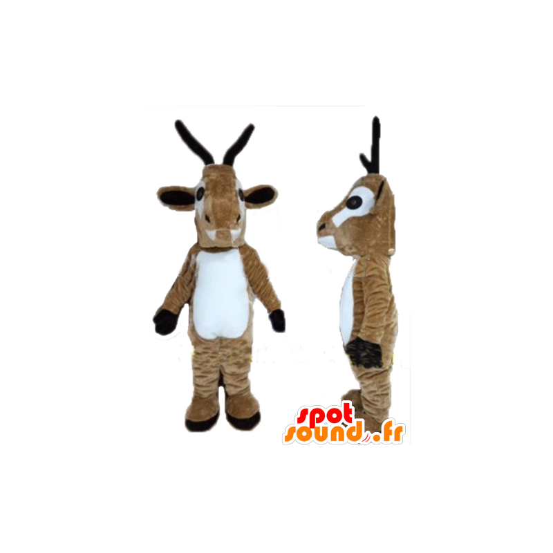 Goat mascot of goat, brown and white reindeer - MASFR23938 - Goats and goat mascots