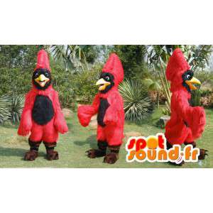 Mascot röd och svart tukan. Röd och svart fågeldräkt -