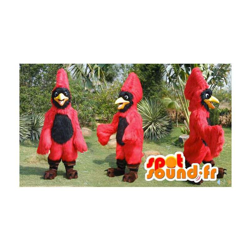 Mascot röd och svart tukan. Röd och svart fågeldräkt -