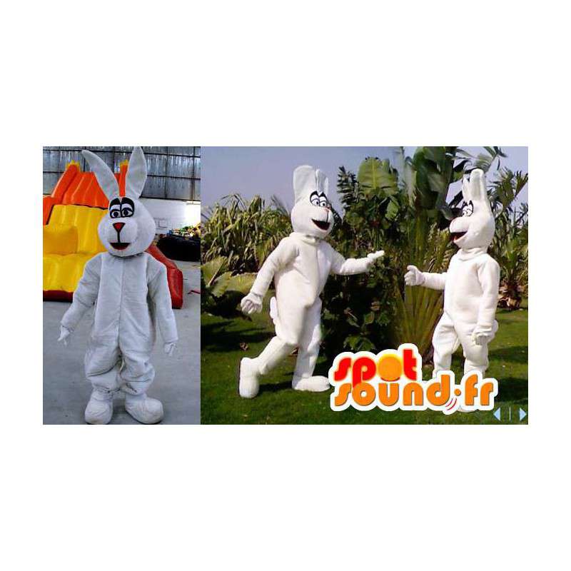 Wit konijntje mascotte, reuze - alle soorten en maten - MASFR006610 - Mascot konijnen