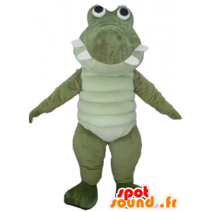 Groene grote krokodil mascotte en wit, zeer succesvolle en prettige - MASFR24107 - Mascot krokodillen