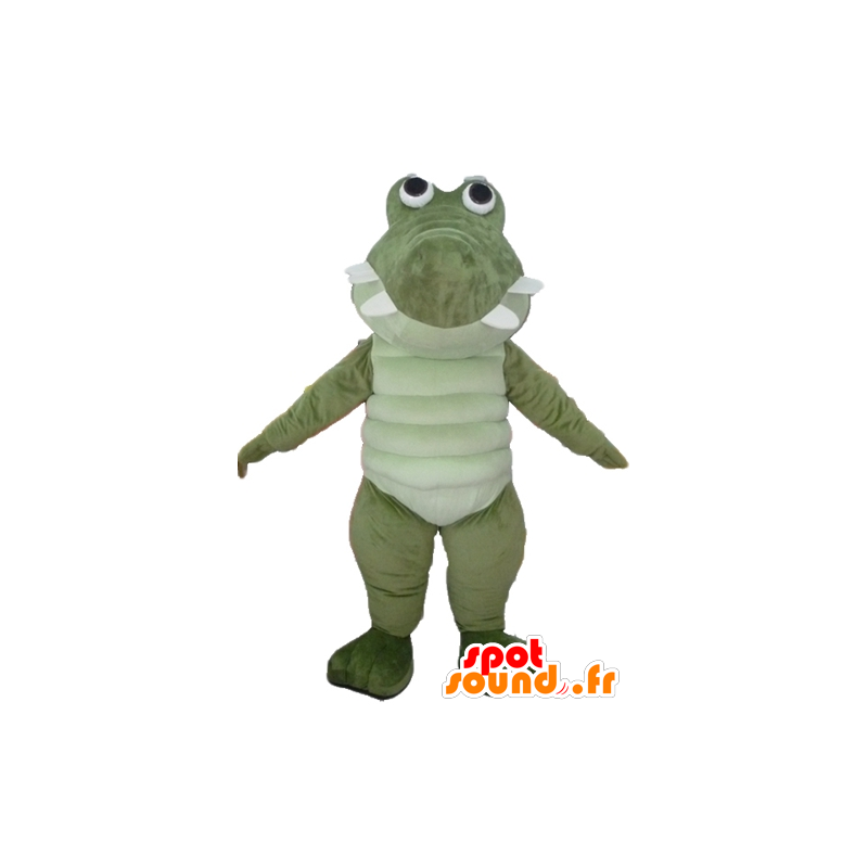 Mascotte de grand crocodile vert et blanc, très réussi et rigolo - MASFR24107 - Mascotte de crocodiles