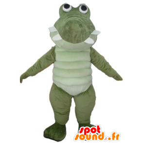 Groene grote krokodil mascotte en wit, zeer succesvolle en prettige - MASFR24107 - Mascot krokodillen