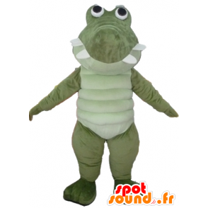 Mascotte de grand crocodile vert et blanc, très réussi et rigolo - MASFR24107 - Mascotte de crocodiles